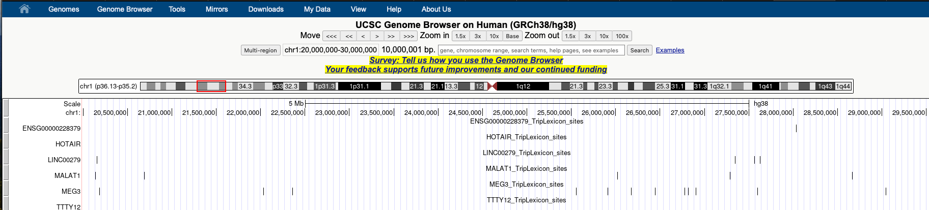UCSC genome browser view of several tracks of RNA gene interaction sites.