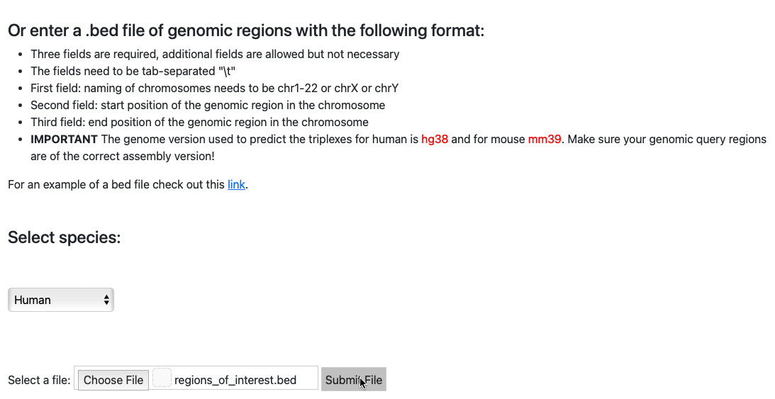 Submit file